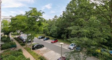 26 Grünblick aus dem Schlafzimmer - Immobilienmakler-Potsdam.jpg