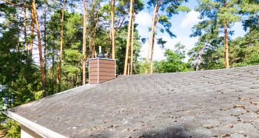 24 Dach und Schornstein - Immobilienmakler-Potsdam.jpg