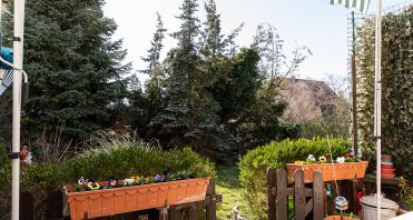 6 Balkon und Garten - Immobilien Potsdam.jpg