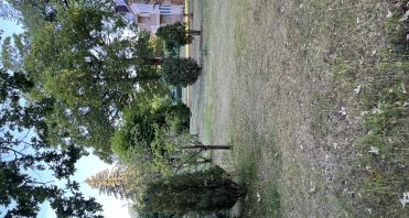 27 Gemeinschaftsgarten - Makler Potsdam-Babelsberg.jpg