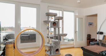 12 Blick zur Dachterrasse - Immobilienmakler-Potsdam.jpg