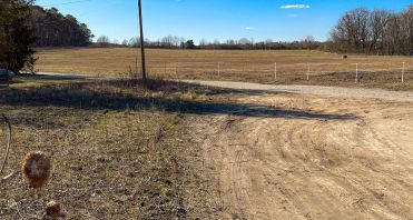5 Zukünftiger Blick von der Terrasse - Makler Potsdam-Babelsberg.jpg