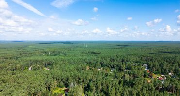 01 Grünes Borkheide - Immobilienmakler-Potsdam.jpg