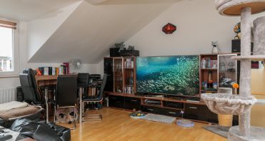 10 Blick in Wohnzimmer - Immobilienmakler-Potsdam.jpg