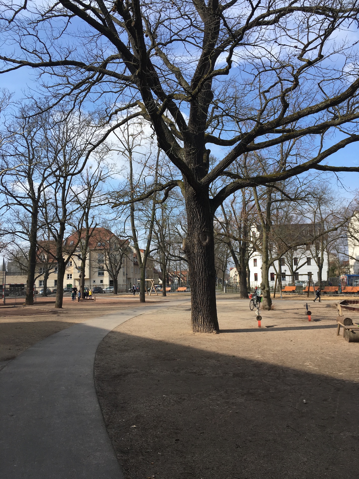 Die Wohnung befindet sich im schönen Babelsberg, dessen historisch gewachsene Lage heute wieder geprägt ist durch die sanierten Wohnhäuser aus der Gründerzeit.